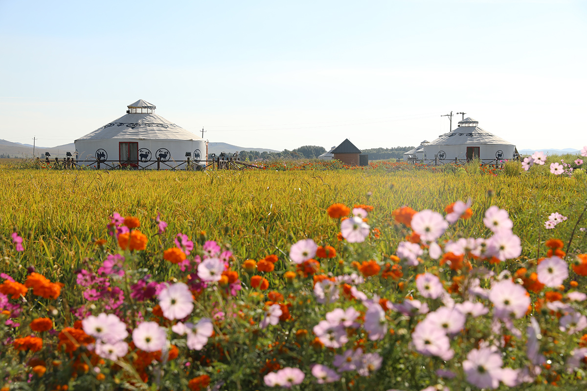 美翻了我的村第59期 | 內蒙古科右中旗額木庭高勒蘇木巴彥敖包嘎查：七彩鄉村花正艷 幸福溢滿山水間