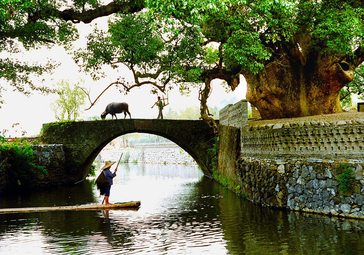 美翻了我的村第63期 | 江西省婺源縣賦春鎮：厚植生態底色 培育文明鄉風