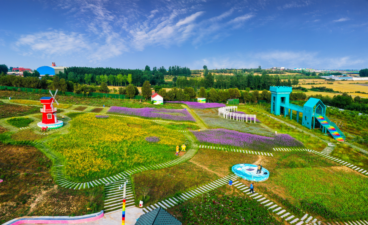 美翻了我的村第75期 | 河南省鶴壁市鉅橋鎮崗坡村：以文鑄魂 以旅興業