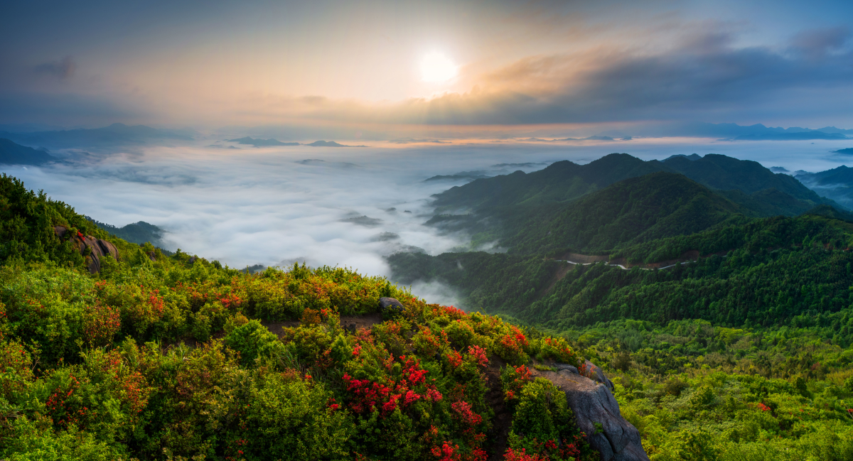 美翻了我的村第79期 | 江西省石城縣小松鎮：美麗蓮鄉新風漾