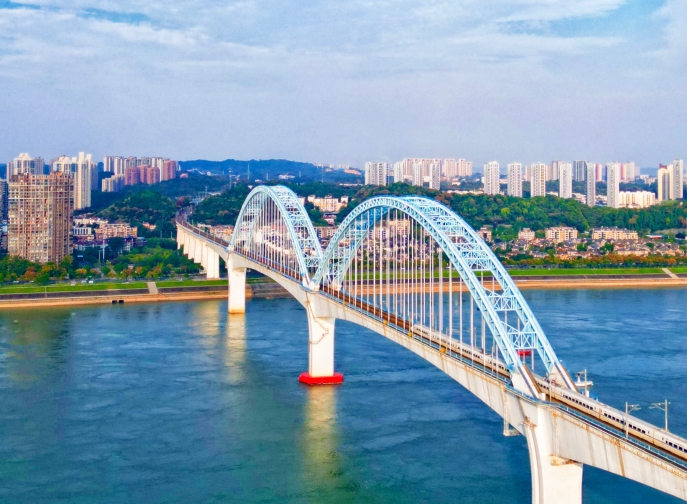 向光而行,花開滿途