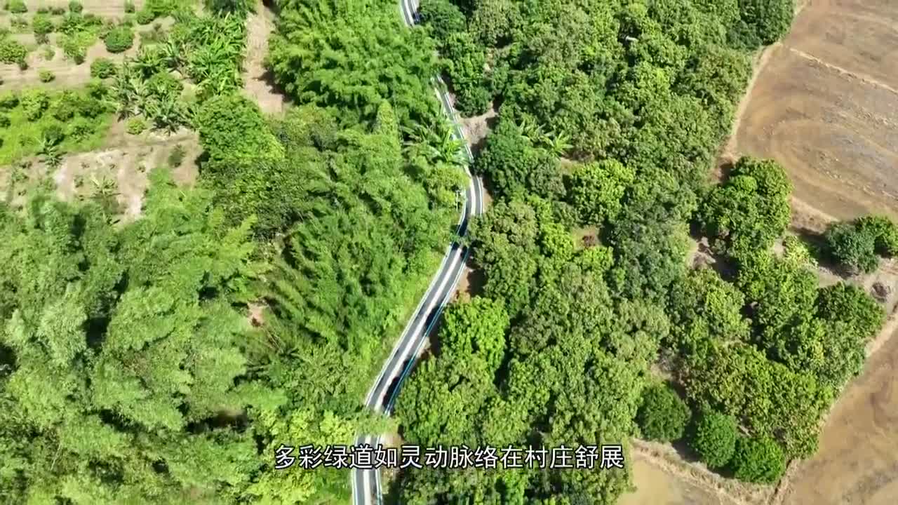 廣東潮州五聯村：和美鄉村煥新顏 文明鄉風撲面來